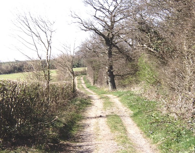 The North Downs Way crossing Brabourne Downs above Wye